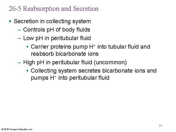 26 -5 Reabsorption and Secretion § Secretion in collecting system – Controls p. H