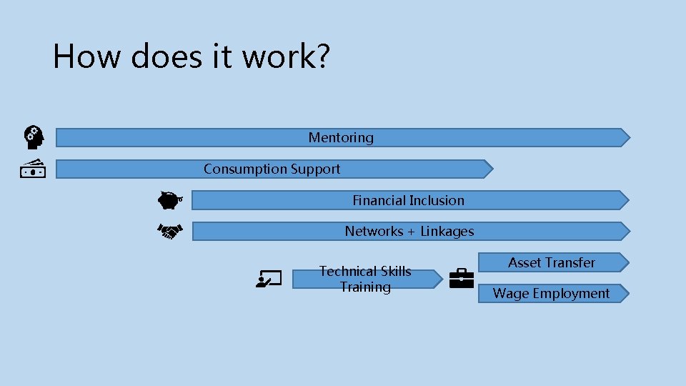 How does it work? Mentoring Consumption Support Financial Inclusion Networks + Linkages Technical Skills