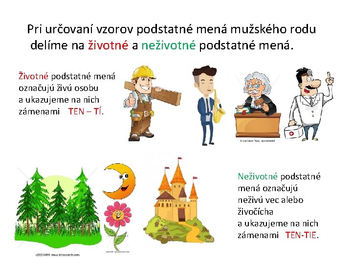 Pri určovaní vzorov podstatné mená mužského rodu delíme na životné a neživotné podstatné mená.