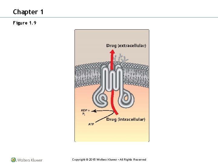 Chapter 1 Figure 1. 9 Copyright © 2015 Wolters Kluwer • All Rights Reserved