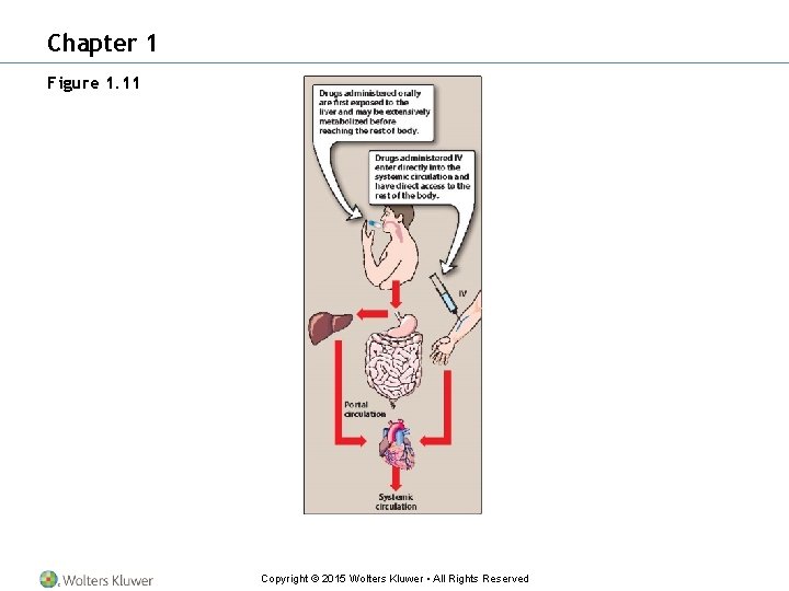 Chapter 1 Figure 1. 11 Copyright © 2015 Wolters Kluwer • All Rights Reserved