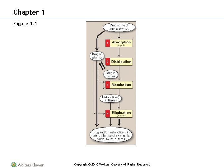 Chapter 1 Figure 1. 1 Copyright © 2015 Wolters Kluwer • All Rights Reserved