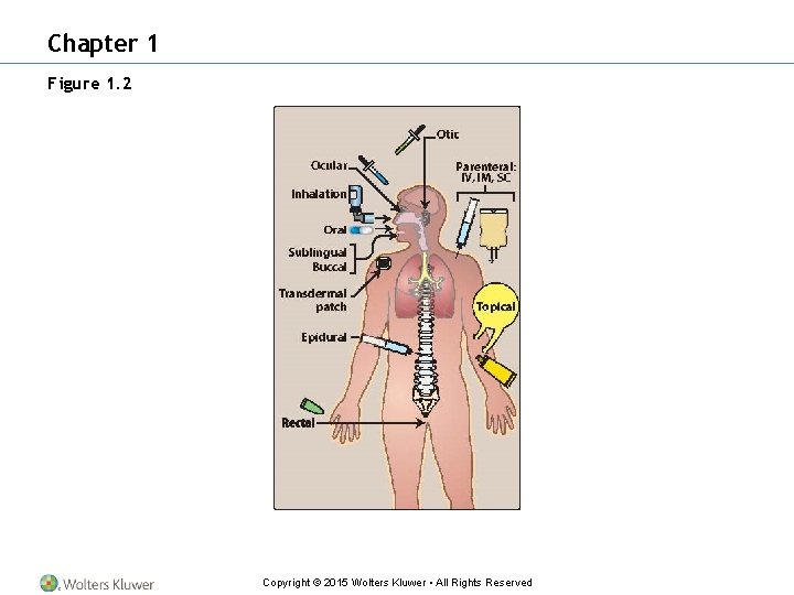 Chapter 1 Figure 1. 2 Copyright © 2015 Wolters Kluwer • All Rights Reserved