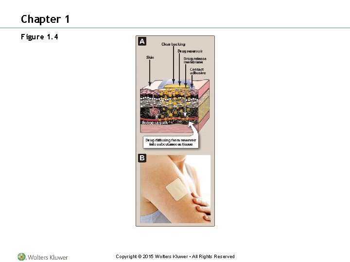 Chapter 1 Figure 1. 4 Copyright © 2015 Wolters Kluwer • All Rights Reserved