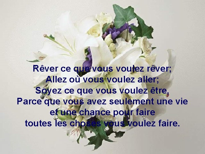 Rêver ce que vous voulez rêver; Allez où vous voulez aller; Soyez ce que