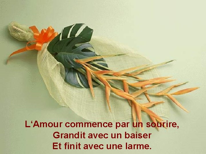 L‘Amour commence par un sourire, Grandit avec un baiser Et finit avec une larme.