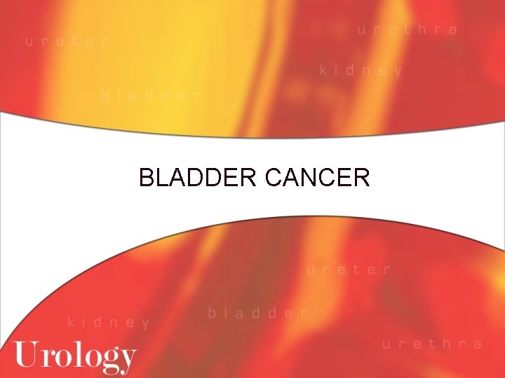 BLADDER CANCER 
