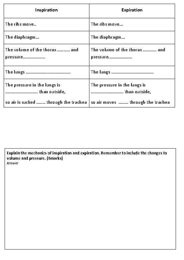 Inspiration Expiration The ribs move. . . The diaphragm. . . The volume of