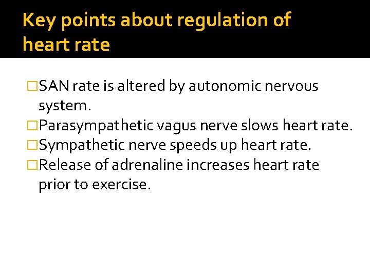 Key points about regulation of heart rate �SAN rate is altered by autonomic nervous