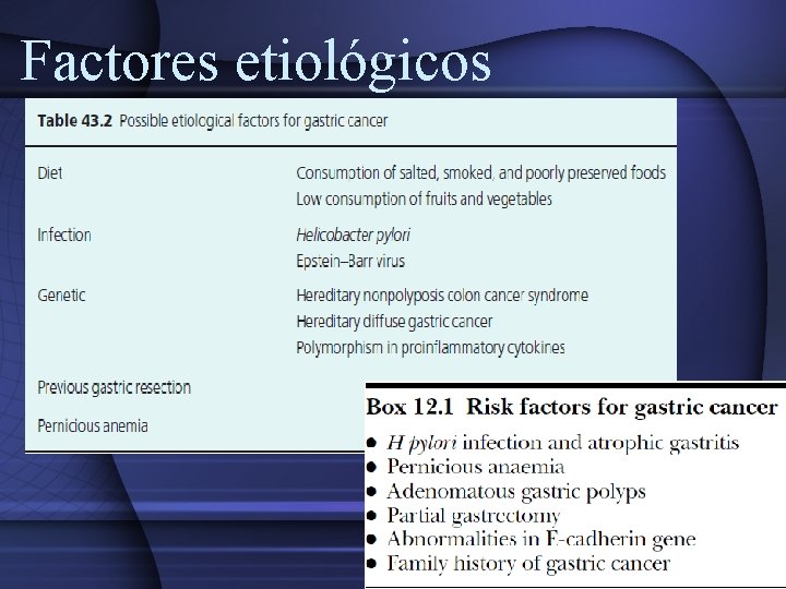 Factores etiológicos 