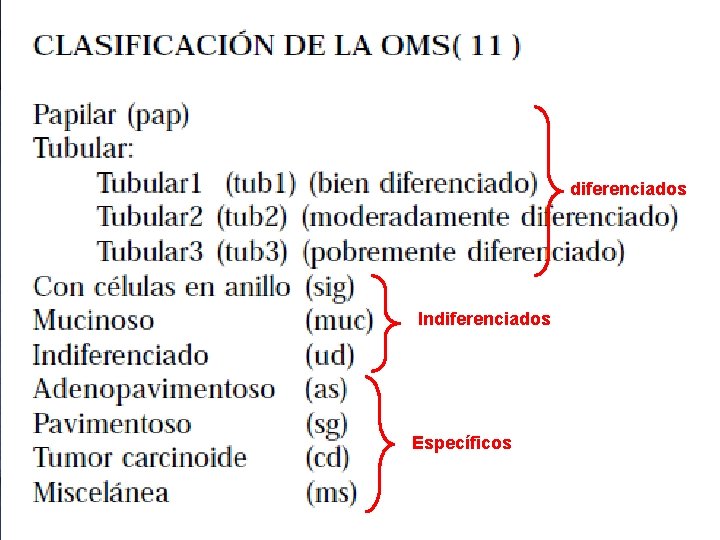 diferenciados Indiferenciados Específicos 