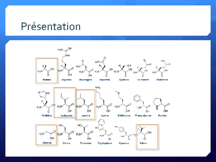 Présentation 