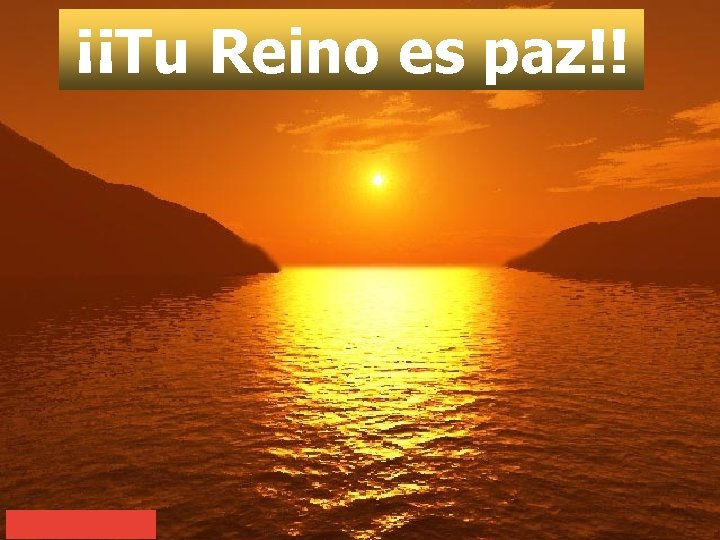 ¡¡Tu Reino es paz!! 