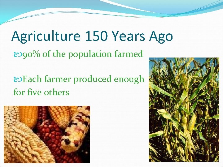 Agriculture 150 Years Ago 90% of the population farmed Each farmer produced enough for