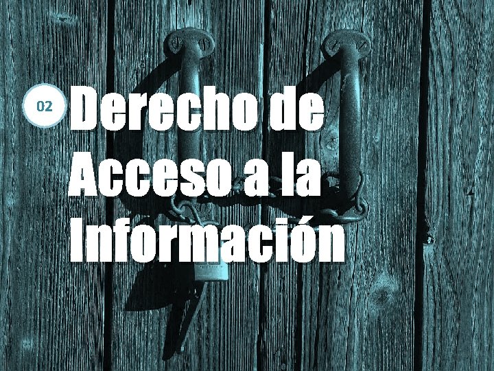 02 Derecho de Acceso a la Información 