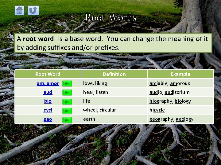 Root Words A root word is a base word. You can change the meaning