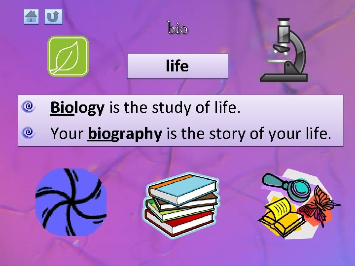 bio life Biology is the study of life. Your biography is the story of