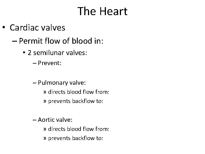 The Heart • Cardiac valves – Permit flow of blood in: • 2 semilunar