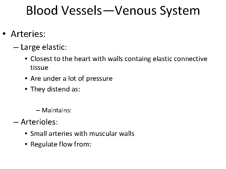 Blood Vessels—Venous System • Arteries: – Large elastic: • Closest to the heart with