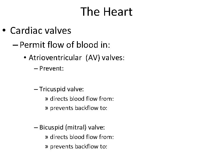 The Heart • Cardiac valves – Permit flow of blood in: • Atrioventricular (AV)