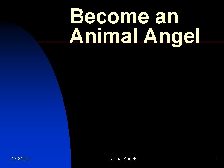 Become an Animal Angel 12/18/2021 Animal Angels 1 