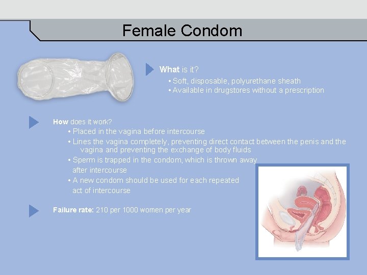 Female Condom What is it? • Soft, disposable, polyurethane sheath • Available in drugstores