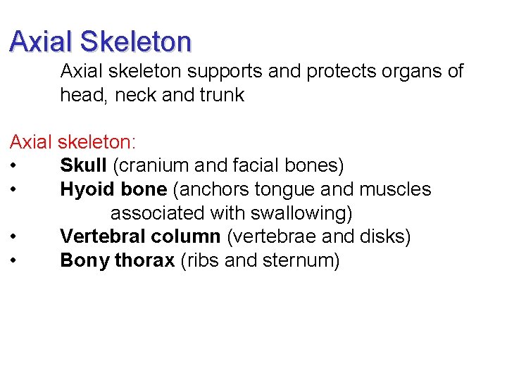 Axial Skeleton Axial skeleton supports and protects organs of head, neck and trunk Axial