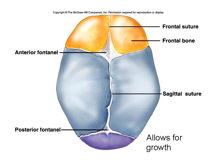 Allows for growth 