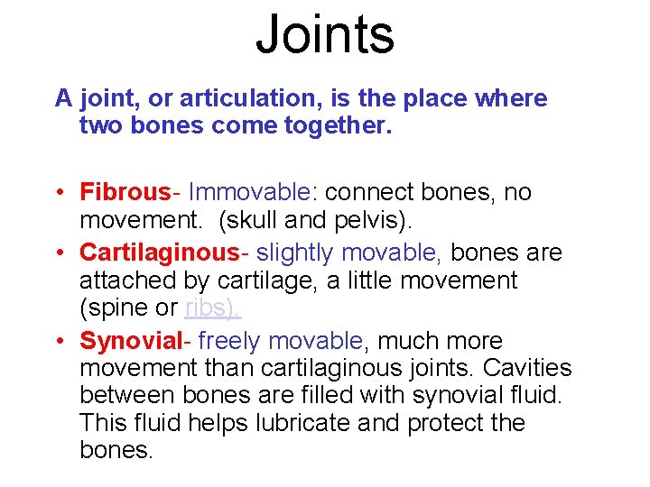 Joints A joint, or articulation, is the place where two bones come together. •