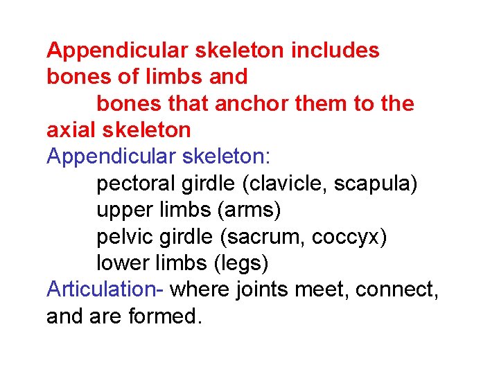 Appendicular skeleton includes bones of limbs and bones that anchor them to the axial