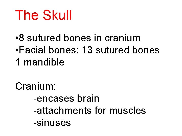 The Skull • 8 sutured bones in cranium • Facial bones: 13 sutured bones
