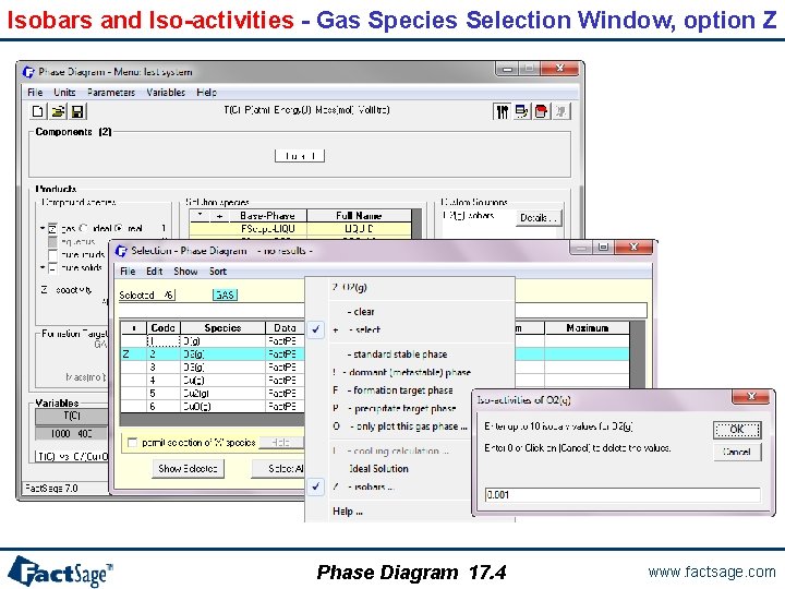 Isobars and Iso-activities - Gas Species Selection Window, option Z Phase Diagram 17. 4