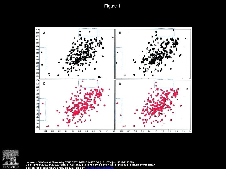 Figure 1 Journal of Biological Chemistry 2002 27711450 -11455 DOI: (10. 1074/jbc. M 112411200)