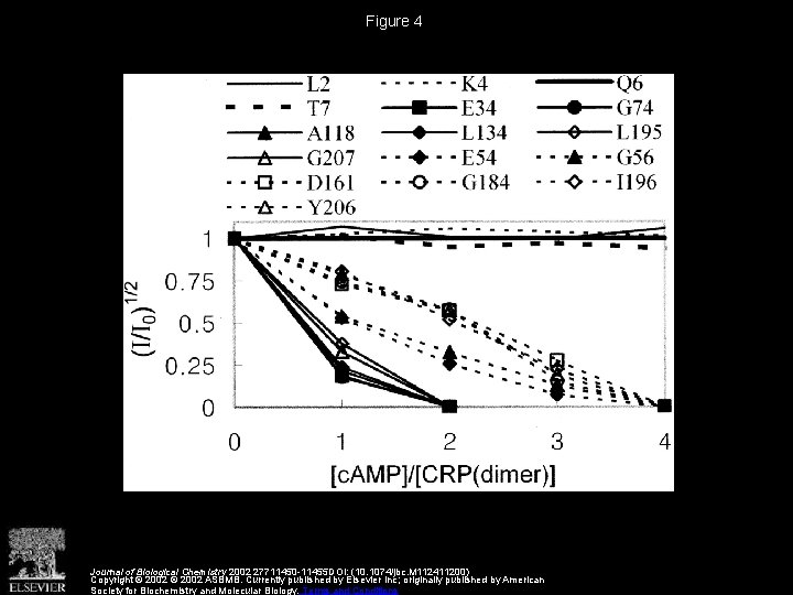 Figure 4 Journal of Biological Chemistry 2002 27711450 -11455 DOI: (10. 1074/jbc. M 112411200)