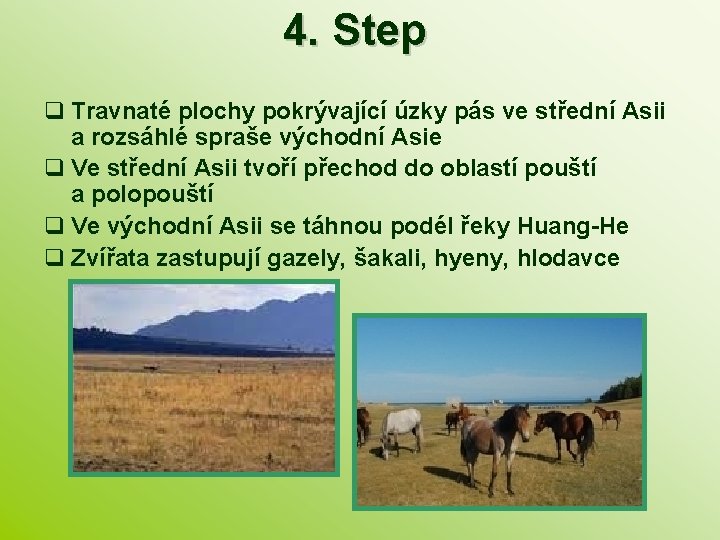 4. Step q Travnaté plochy pokrývající úzky pás ve střední Asii a rozsáhlé spraše