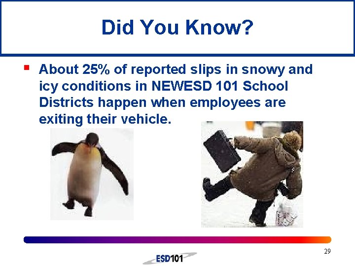 Did You Know? § About 25% of reported slips in snowy and icy conditions