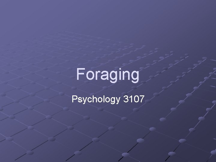 Foraging Psychology 3107 
