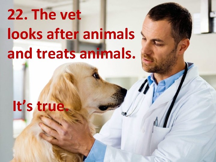 22. The vet looks after animals and treats animals. It’s true. 