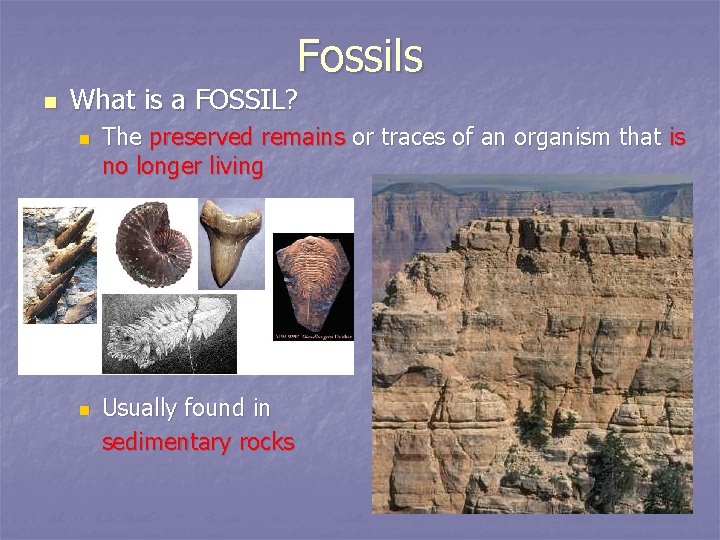 Fossils n What is a FOSSIL? n n The preserved remains or traces of