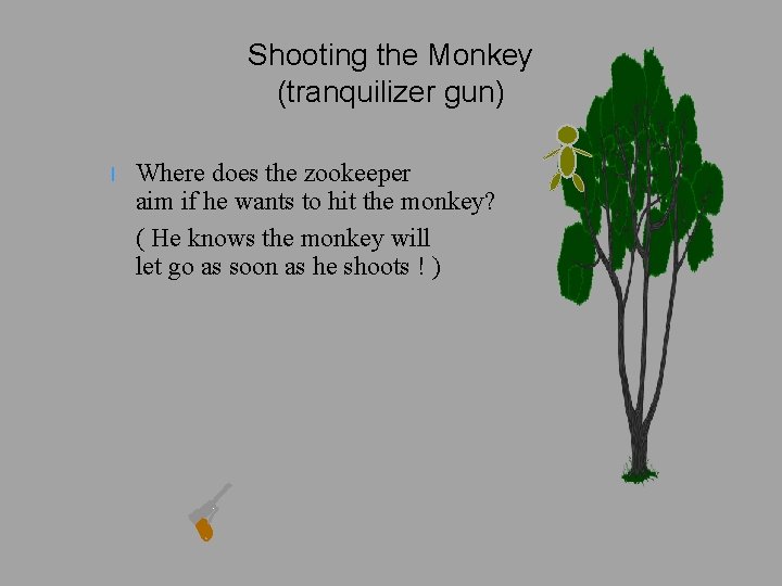 Shooting the Monkey (tranquilizer gun) l Where does the zookeeper aim if he wants