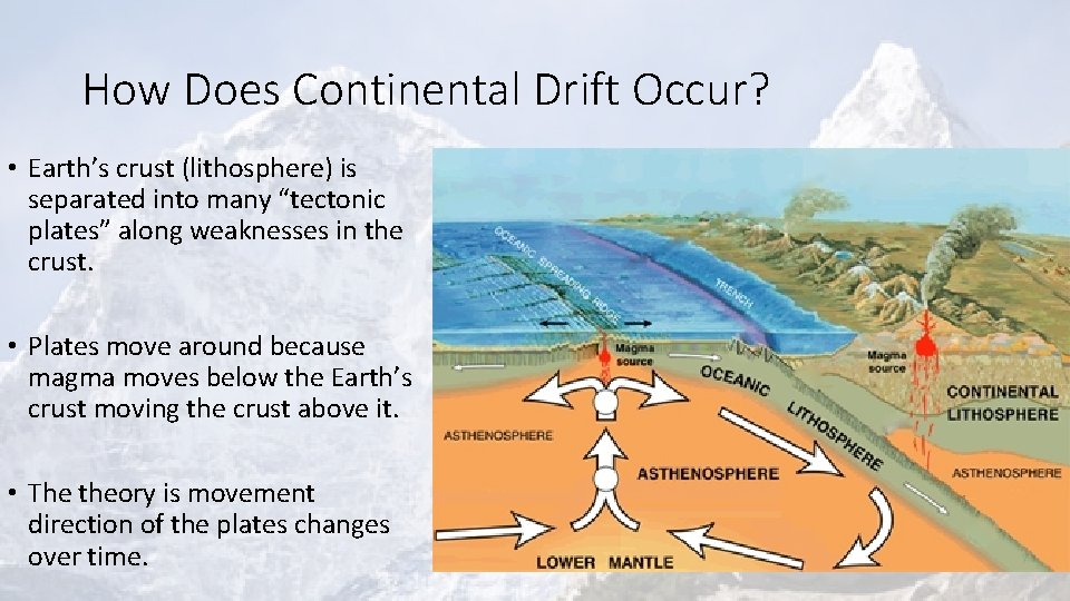 How Does Continental Drift Occur? • Earth’s crust (lithosphere) is separated into many “tectonic