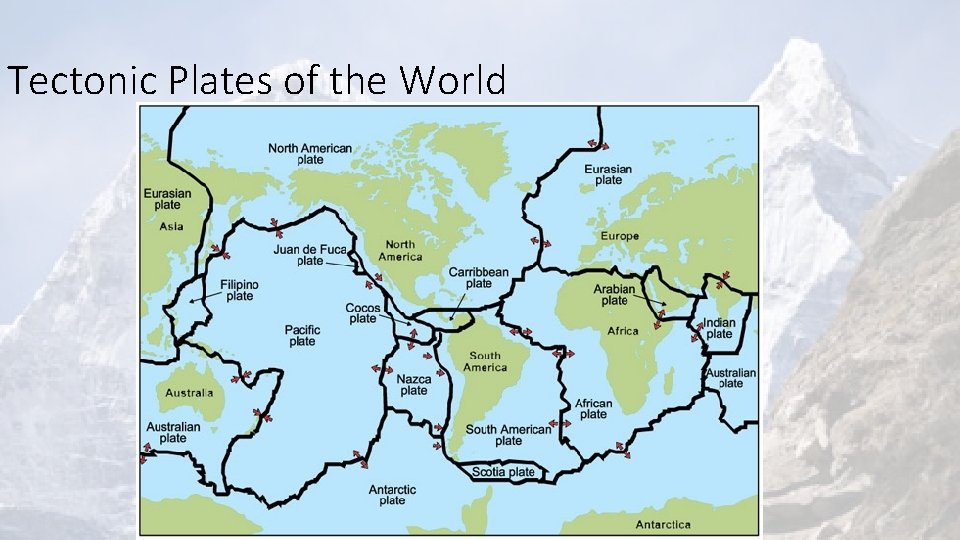 Tectonic Plates of the World 