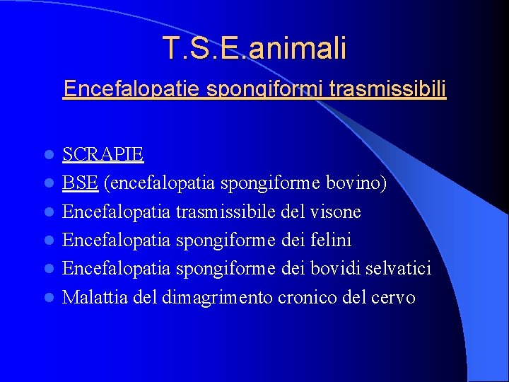 T. S. E. animali Encefalopatie spongiformi trasmissibili l l l SCRAPIE BSE (encefalopatia spongiforme