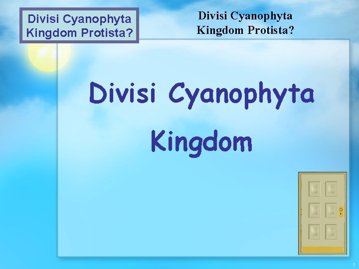 Divisi Cyanophyta Kingdom Protista? Divisi Cyanophyta Kingdom 1 