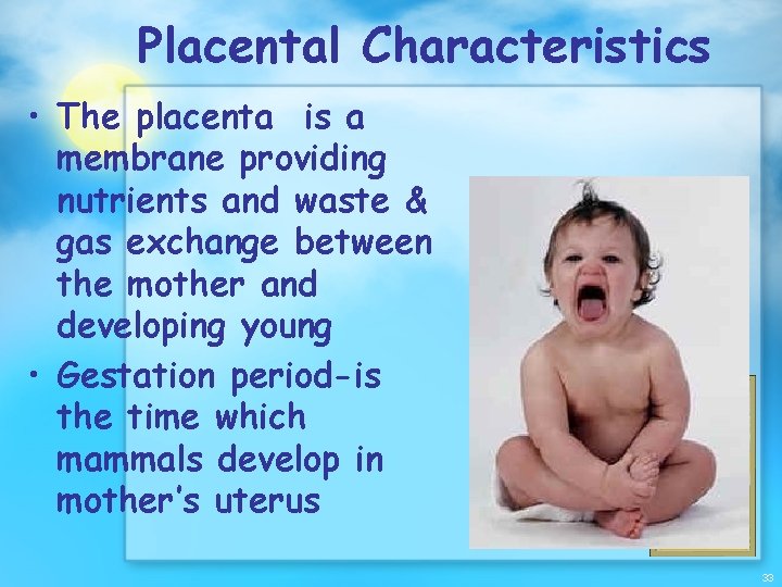 Placental Characteristics • The placenta is a membrane providing nutrients and waste & gas