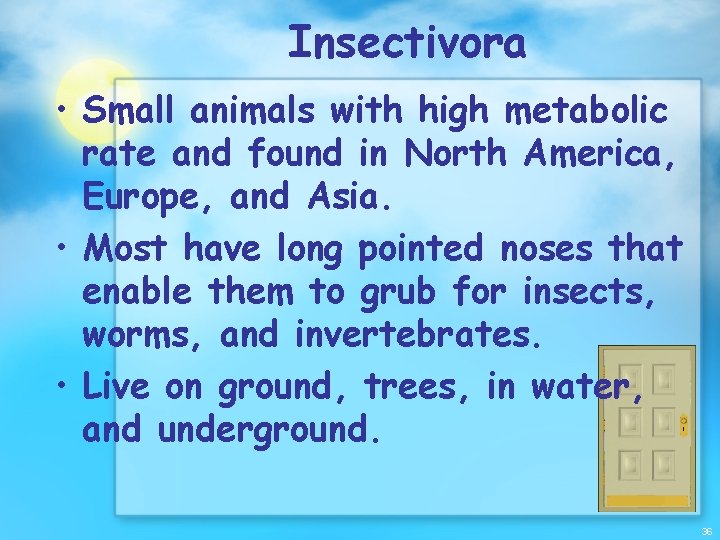 Insectivora • Small animals with high metabolic rate and found in North America, Europe,