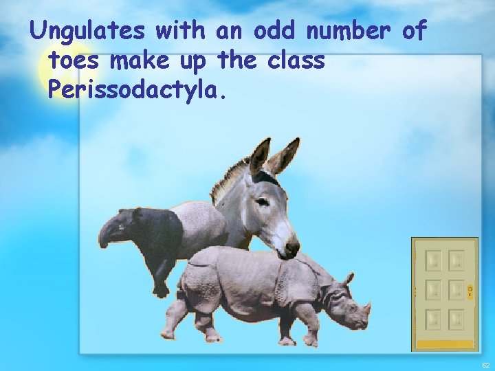 Ungulates with an odd number of toes make up the class Perissodactyla. 62 