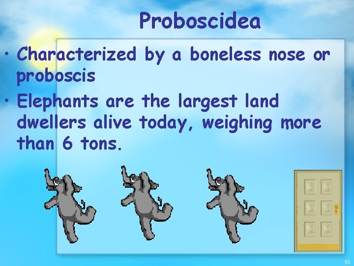 Proboscidea • Characterized by a boneless nose or proboscis • Elephants are the largest