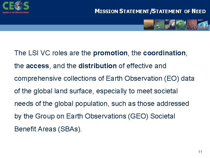 MISSION STATEMENT/STATEMENT OF NEED The LSI VC roles are the promotion, the coordination, the