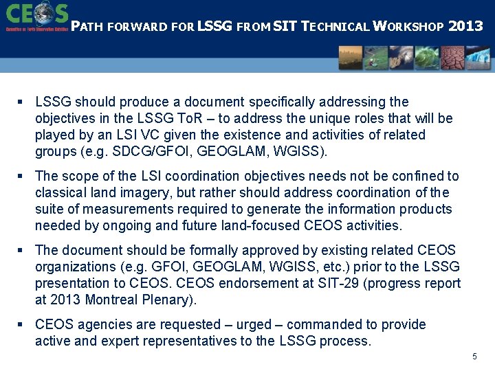 PATH FORWARD FOR LSSG FROM SIT TECHNICAL WORKSHOP 2013 § LSSG should produce a